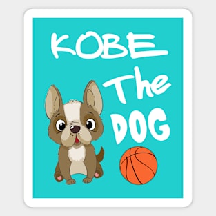 Kobe The Dog Magnet